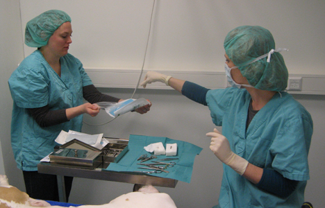 de sterilisatie van uw poes/kat uitgevoerd in onze operatiekamer